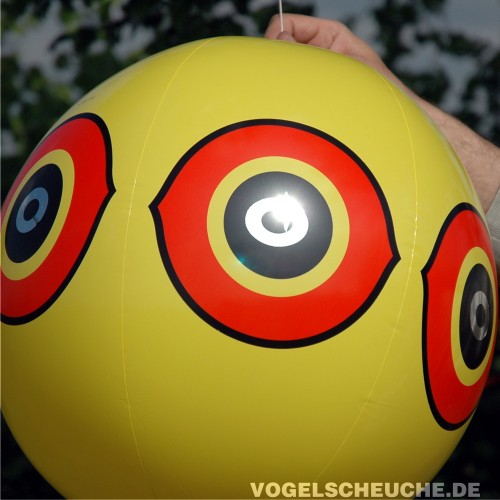 Der Rundumdruck zeigt mehrere Greifvogelaugen über die gesamte Ballonoberfläche, sodass der Ballon aus jeder Richtung abschreckend wirkt.