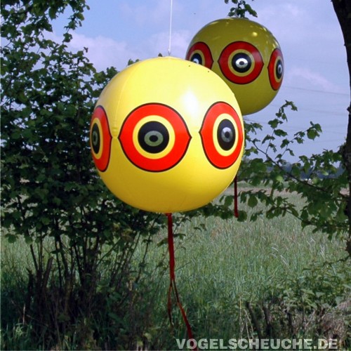 Zwei Vogelscheuch-Ballons im Einsatz an einer Gartenhecke zur natürlichen Vergrämung von Schadvögeln.