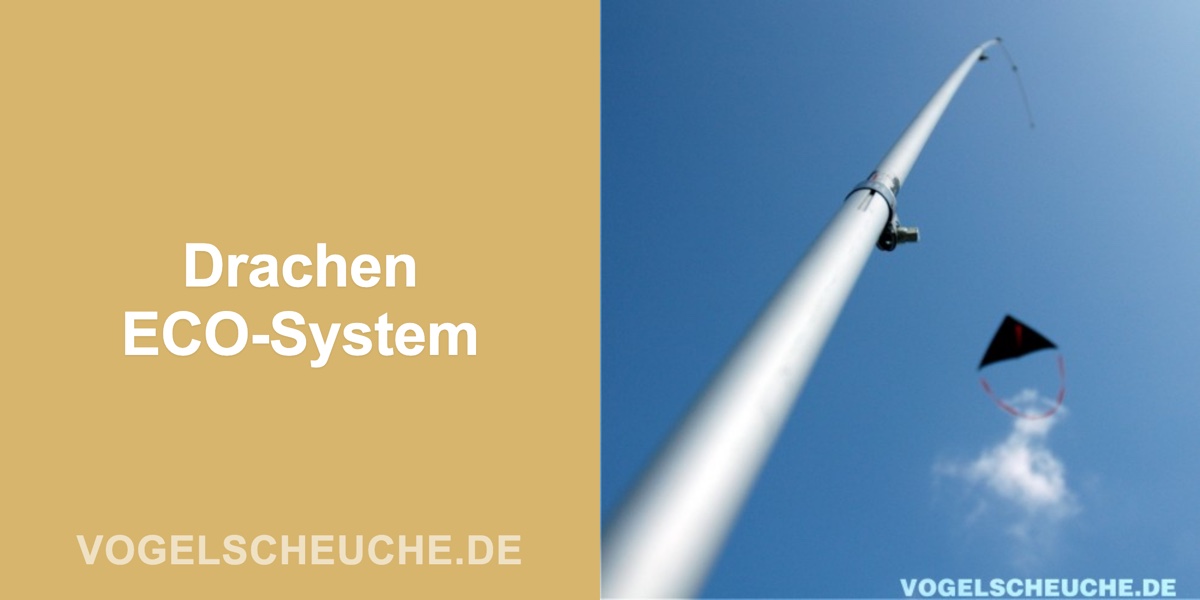 Vogelscheuchen Drachen 2,5 ha ECO-System — Banner